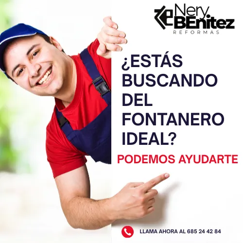 Fontaneros en Sevilla